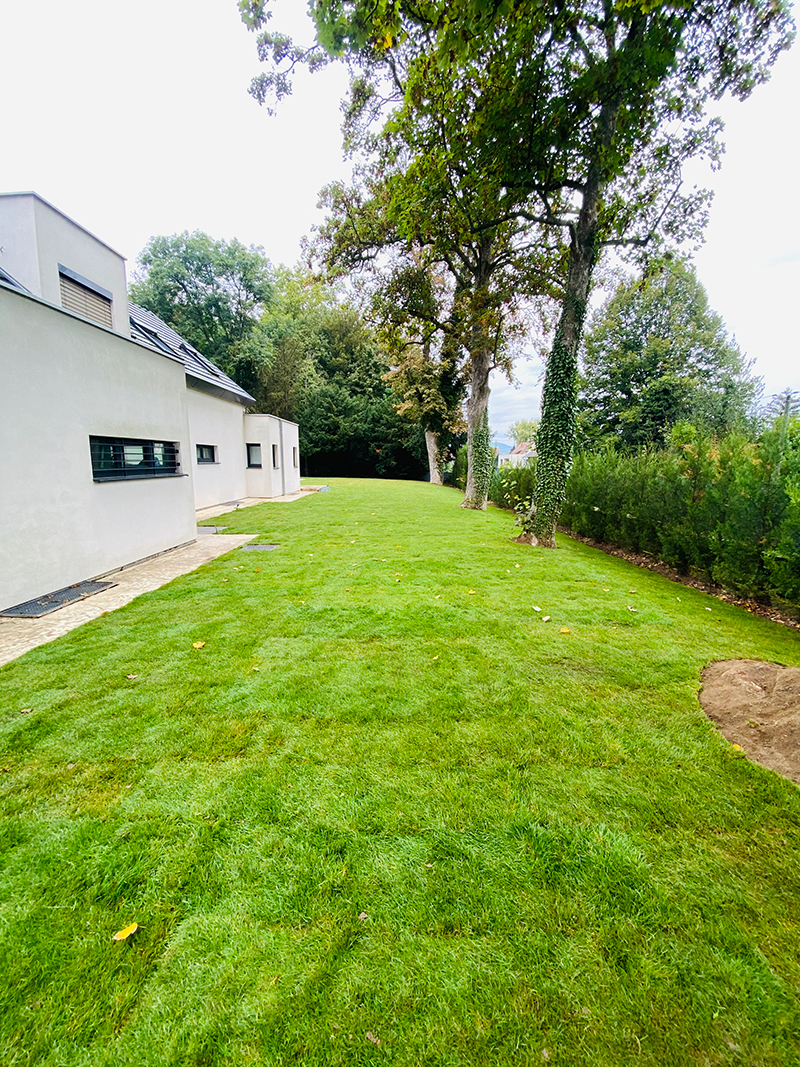 Découvrez nos services